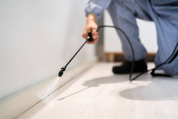 Licensed Pest Control service in Kingstree, SC - Show Me Pest Control