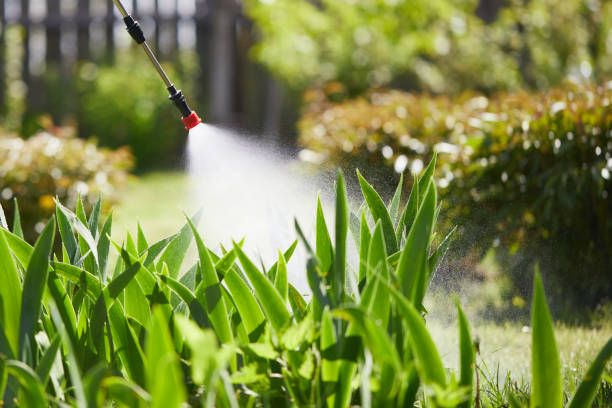 Tamper-Resistant Bait Stations for Rodents in Kingstree