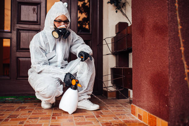 Attic and Crawl Space Rodent Treatment in Kingstree