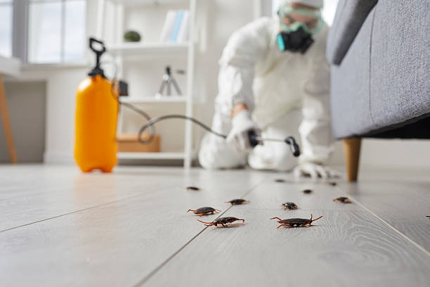 Commercial Rodent Management in Kingstree